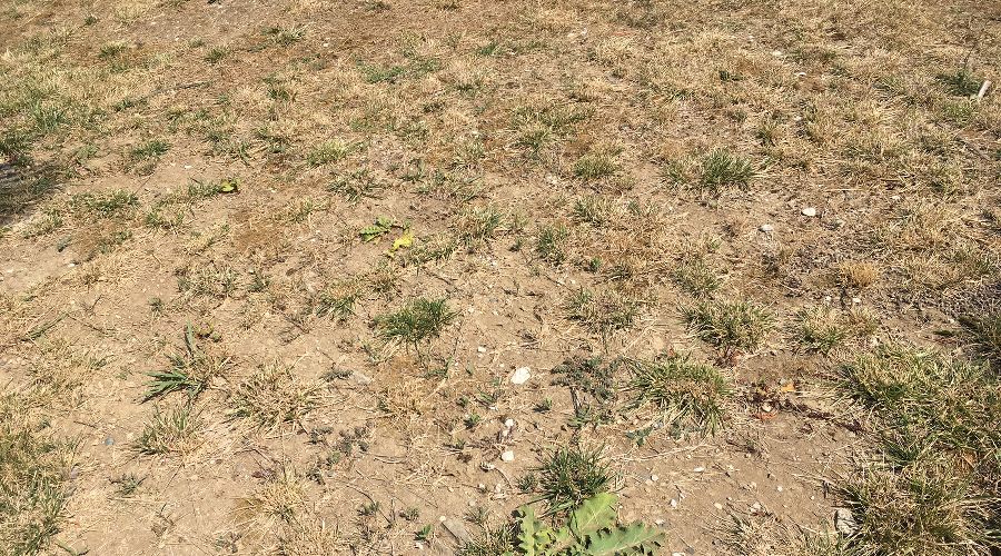  © Фото Юлии Барановой, Юга.ру