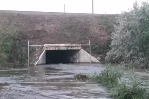  &copy;&nbsp;Скриншот видео из инстаграма МВД России по Анапе, https://www.instagram.com/omvd_anapa/