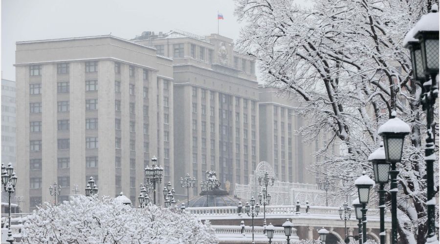  &copy;&nbsp;Скриншот с сайта Госдумы РФ duma.gov.ru