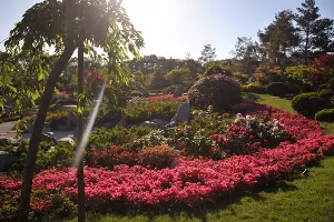  &copy;&nbsp;Фото Марины Солошко, Юга.ру