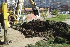  © Фото пресс-службы мэрии Краснодара