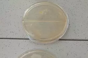  &copy;&nbsp;Фото Елены Малышевой, Юга.ру