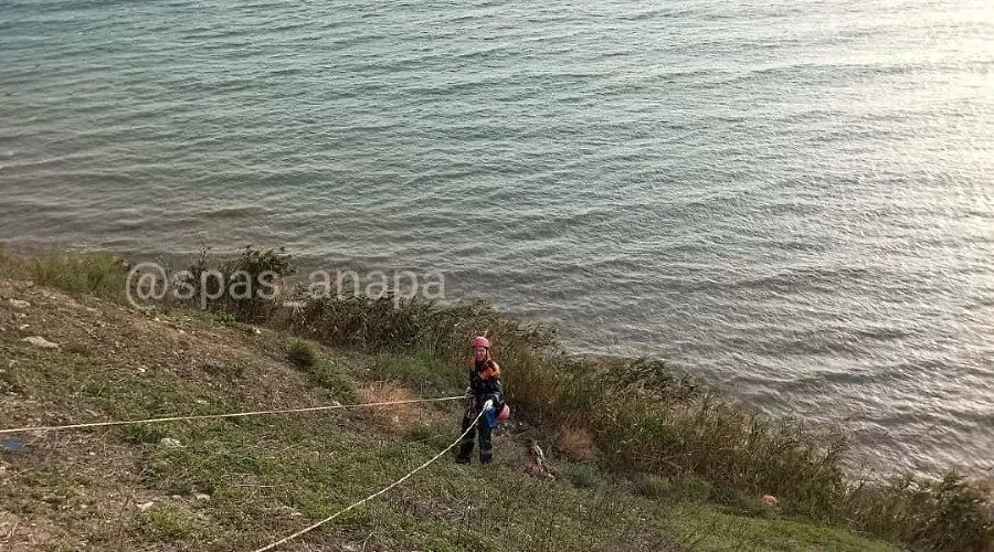  &copy;&nbsp;Фото из инстаграма главы МБУ &laquo;Служба спасения&raquo; Анапы, instagram.com/spas_anapa/