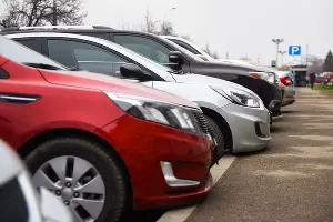  &copy;&nbsp;Фото Елены Синеок, Юга.ру