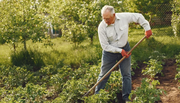  &copy;&nbsp;Фото Prostooleh, ru.freepik.com