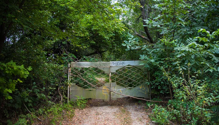 Большой остров &copy;&nbsp;Фото Елены Синеок, Юга.ру