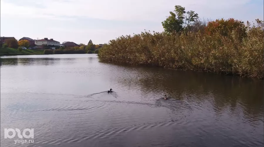  &copy;&nbsp;Фото Кирилла Панькова, Юга.ру