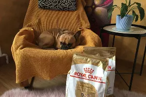  &copy;&nbsp;Фото Олеси Шубиной, Юга.ру