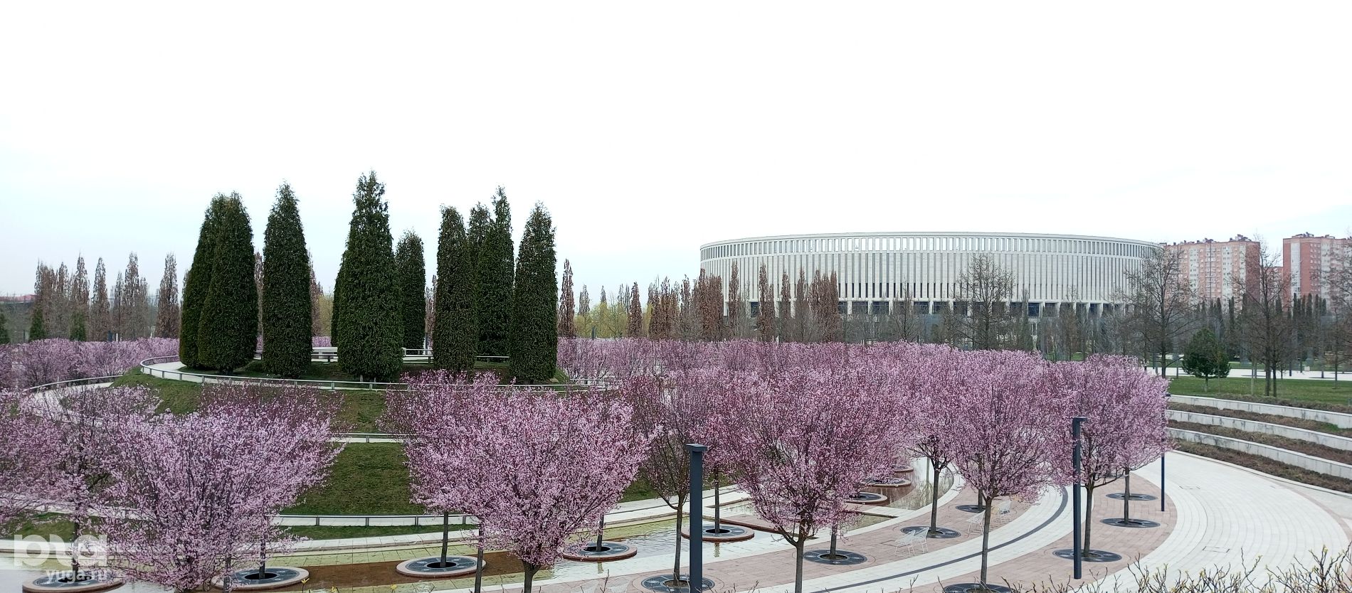 Парк галицкого зацвел