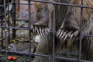  © Фото пресс-службы администрации Краснодара