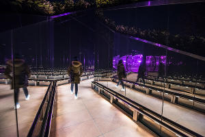 Парк «Краснодар»  с новогодней подсветкой &copy;&nbsp;Фото Елены Синеок, Юга.ру