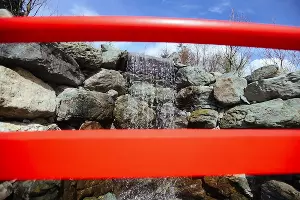 Японский сад &copy;&nbsp;Антон Быков, Юга.ру