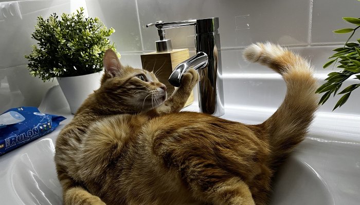 Минеральные Воды и Железноводск полностью останутся без воды на трое суток