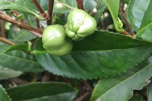  © Фото Юга.ру