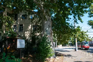  &copy;&nbsp;Фото Дмитрия Пославского, Юга.ру