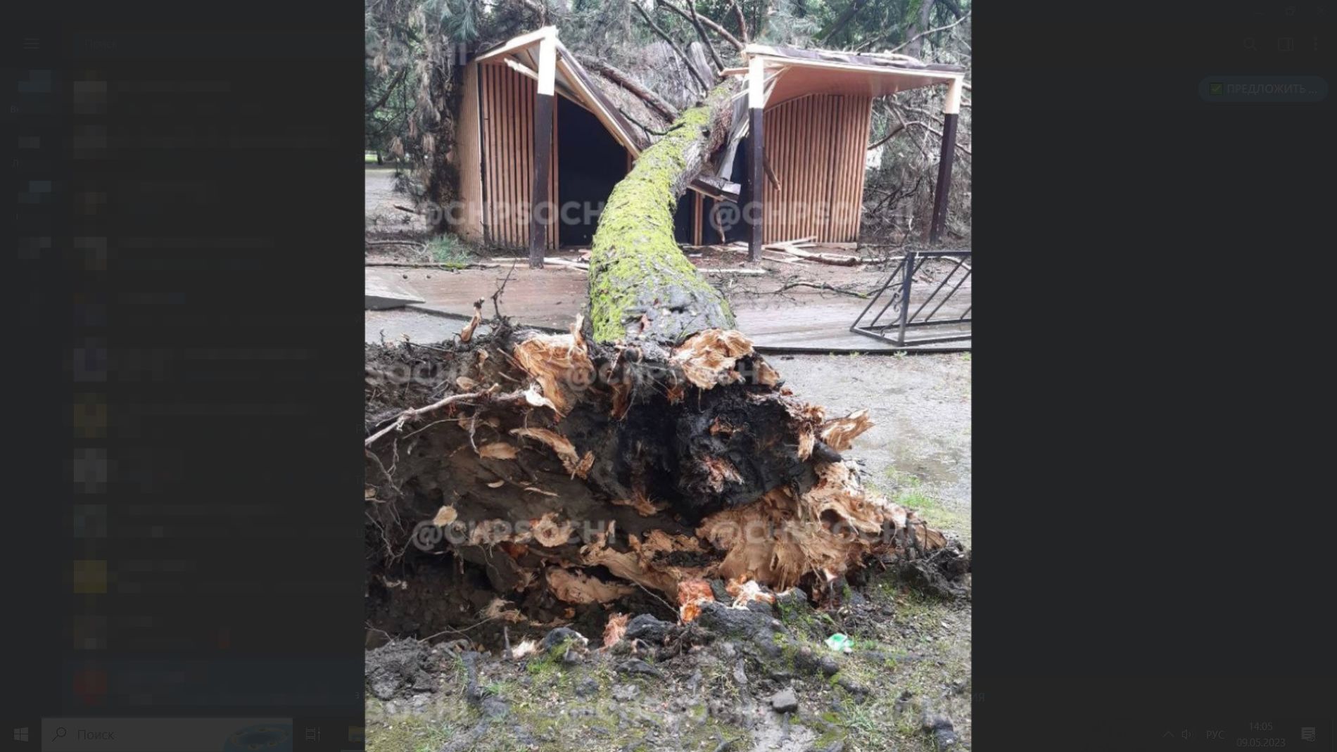 В сочи упал самолет. Автомобили в сочи. В сочи дерево раздавило человека. В сочи дерево раздавило человека. В сочи дерево раздавило человека.
