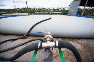 Открытие клиентского центра «Еврохим» в станице Старовеличковской © Фото Елены Синеок, Юга.ру
