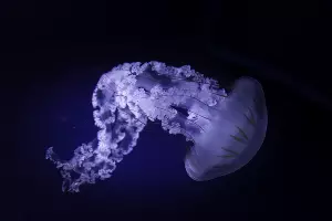  &copy;&nbsp;Фото wirestock, Freepik.com