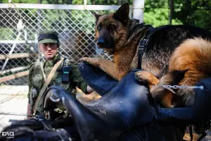  &copy;&nbsp;Нина Зотина, ЮГА.ру