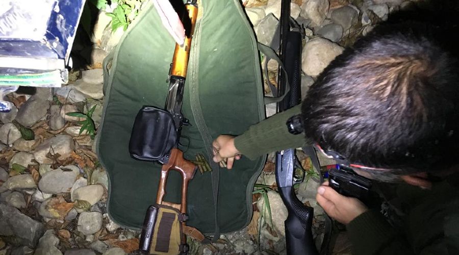  © Фото пресс-службы Сочинского нацпарка