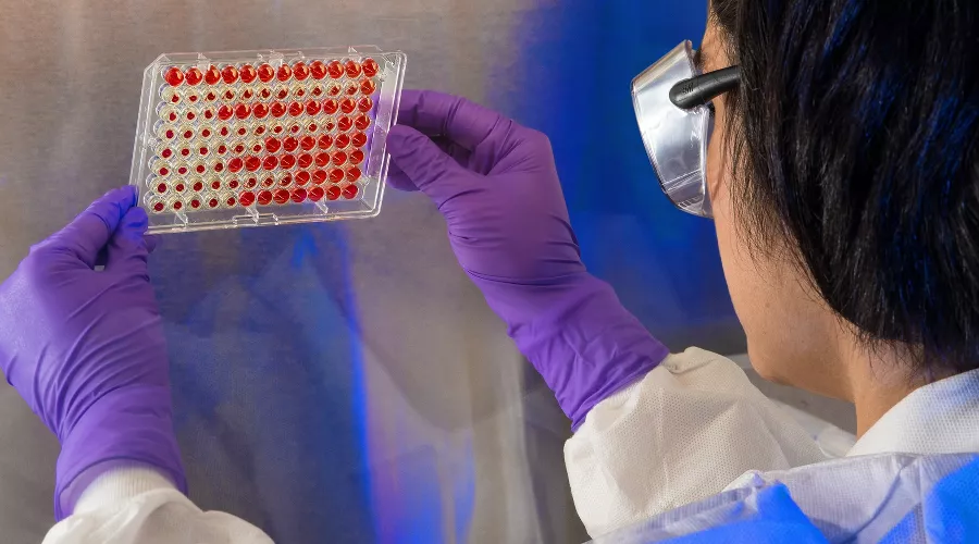  &copy;&nbsp;Фото CDC, unsplash.com