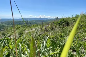  &copy;&nbsp;Фото предоставлено пресс-службой администрации Геленджика