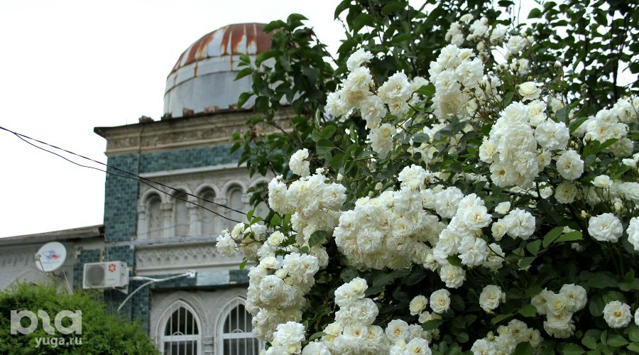  &copy;&nbsp;Фото Марины Солошко, Юга.ру