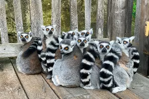  &copy;&nbsp;Фото Victoria Bragg, unsplash.com