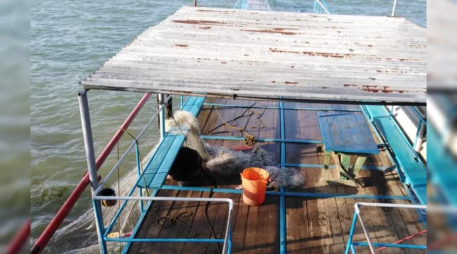  &copy;&nbsp;Фото пресс-службы противопожарной и аварийно-спасательной службы Ставропольского края