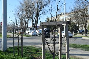  &copy;&nbsp;Фото пресс-службы администрации Краснодара