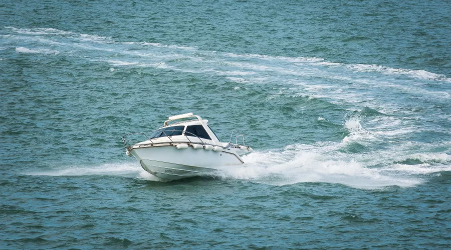  &copy;&nbsp;Фото Елены Синеок, Юга.ру