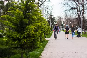  &copy;&nbsp;Фото Елены Синеок, Юга.ру