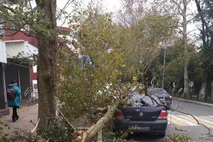  &copy;&nbsp;Фото из аккаунта t.me/sochinow