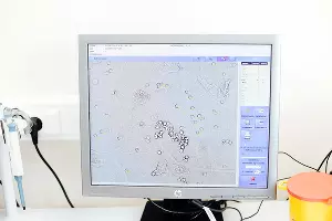  &copy;&nbsp;Фото Дениса Яковлева, Юга.ру