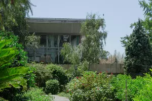 Сад-музей Дерева Дружбы в Сочи &copy;&nbsp;Фото Юли Шафаростовой, Юга.ру