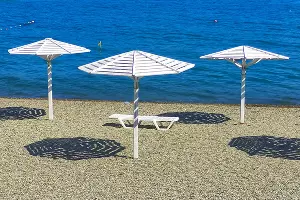  &copy;&nbsp;Фото Александры Савичевой, unsplash.com