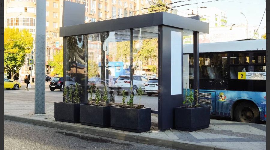  © Скриншот фото из телеграм-канала «KRD.ru»