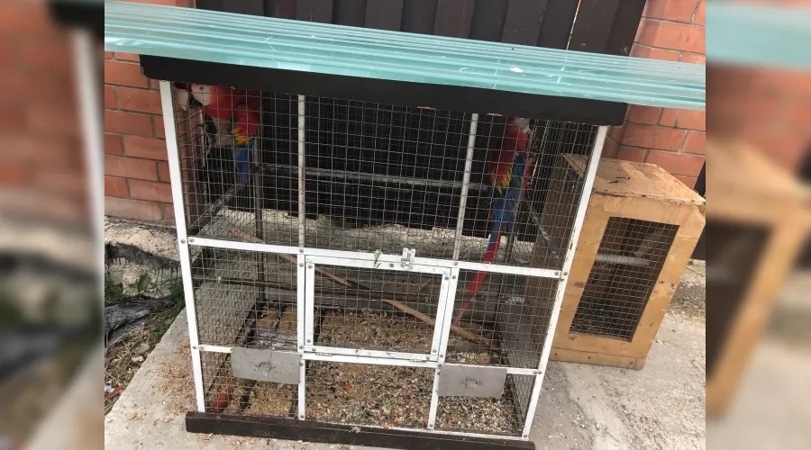  &copy;&nbsp;Фото пресс-службы прокуратуры Краснодарского края