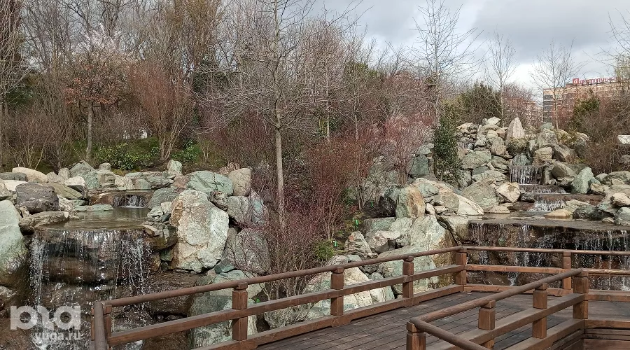 Японский сад &copy;&nbsp;Андрей Малеваный Юга.ру