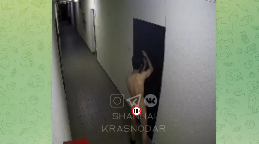Голый мужчина в подъезде ЖК «Три кита» в Краснодаре &copy;&nbsp;Скриншот видео телеграм-канала &laquo;Шанхай Краснодар&raquo;, t.me/s/shanhai_krasnodar