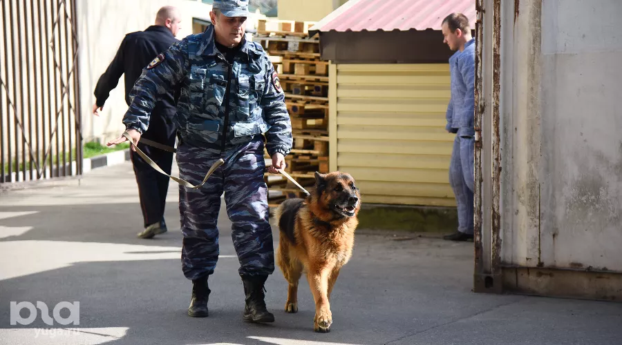  &copy;&nbsp;Фото Елены Синеок, Юга.ру