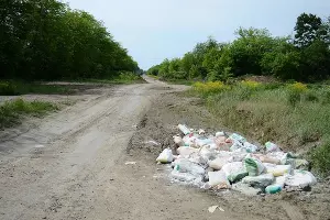  &copy;&nbsp;Фото Александра Райко, пресс-служба администрации Краснодара