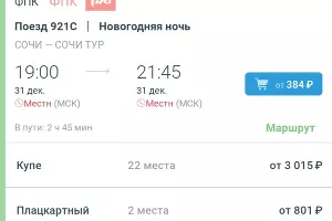 Билет без возвращения в Сочи &copy;&nbsp;Скриншот приложения РЖД