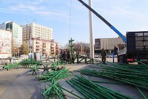  © Фото пресс-службы администрации Краснодара