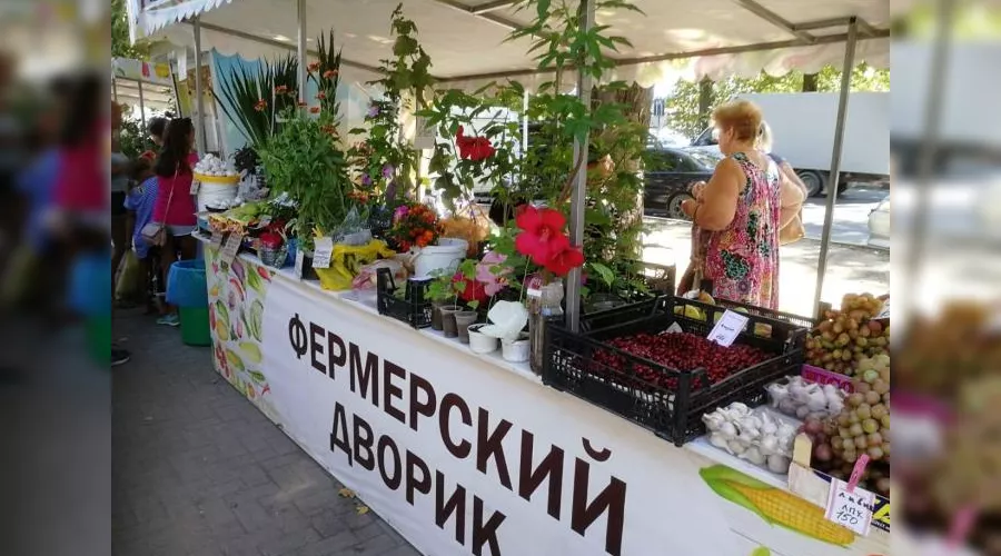  &copy;&nbsp;Фото пресс-службы администрации Анапы