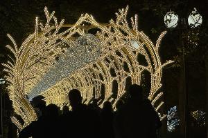  &copy;&nbsp;Фото Марии Журавлевой, Юга.ру