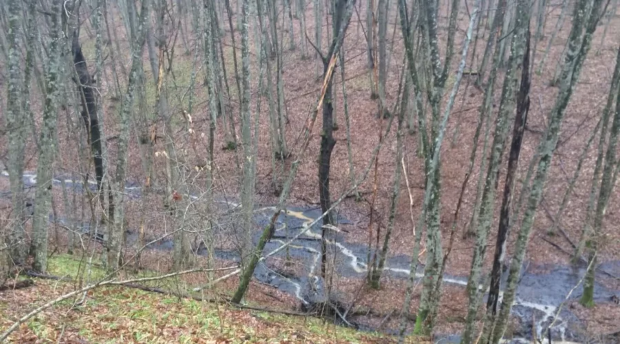  &copy;&nbsp;Фото &laquo;Эковахты по Северному Кавказу&raquo;