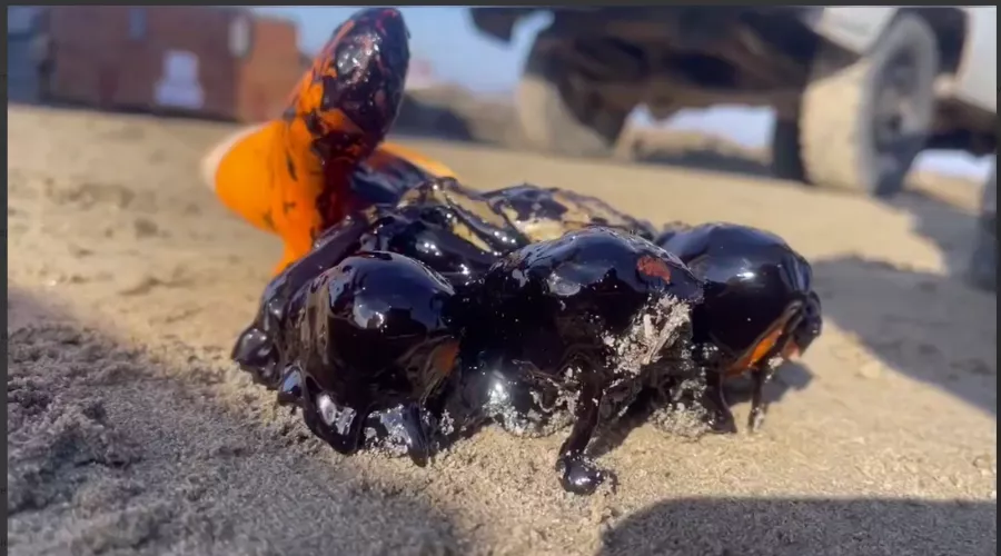  &copy;&nbsp;Скриншот из телеграм-канала оперативного штаба Краснодарского края https://t.me/opershtab23/10641