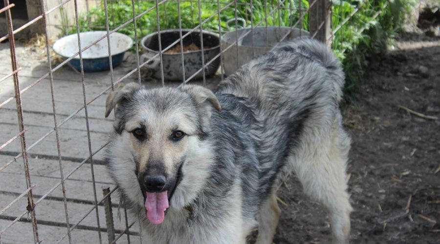  © Фото пресс-службы курорта «Роза Хутор»