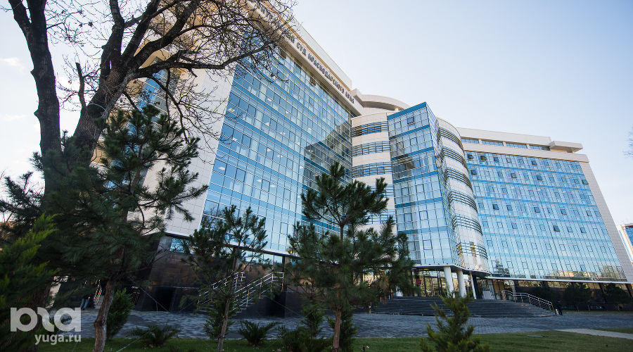  © Фото Елены Синеок, Юга.ру